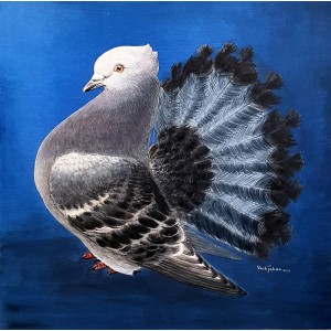 Shahjahan, 11 x 11 Inch, Acrylic on Card Board, Pigeon Painting, AC-SHJ-033